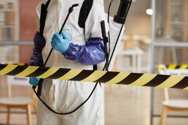 Professional Odor Removal technician working in Havana, IL